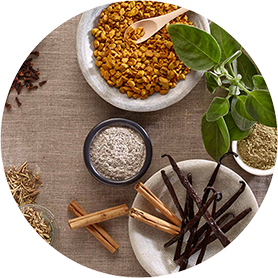 The Best Home Detox & Cleanse Products in Australia | Smart Cleanse